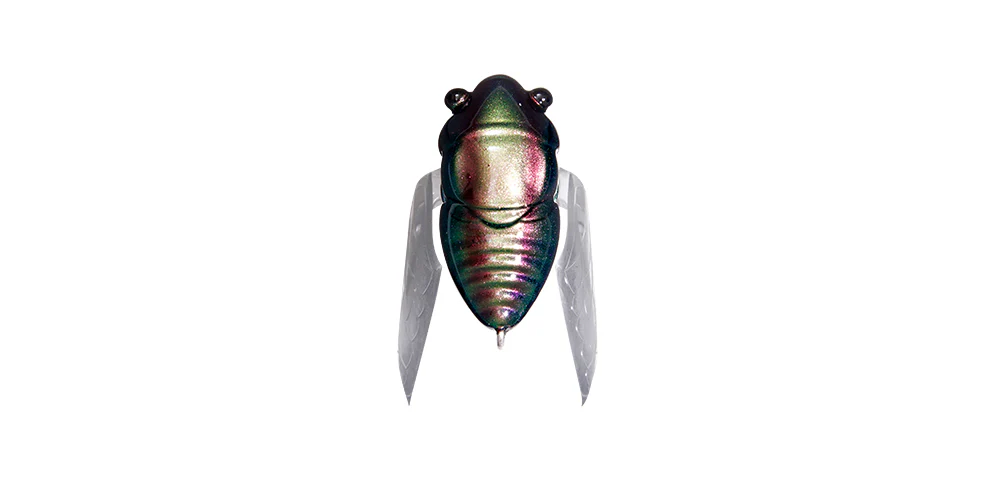 Nano Siglett - Image 5