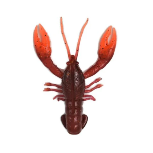 Nikko Craws - Image 4
