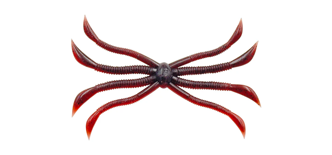 Octopus - Image 2