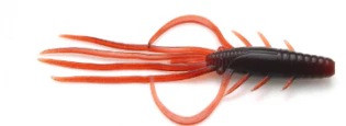 Oka Ebi - Image 5