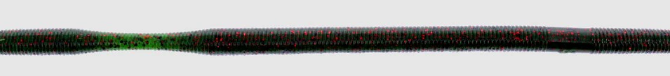 Oki Worm