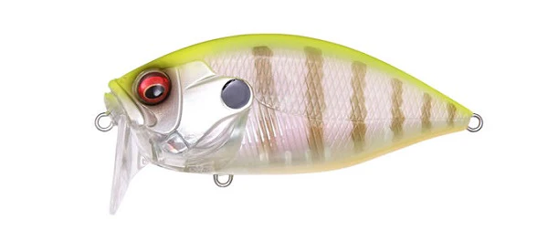 ORC Burning Shad - Image 11