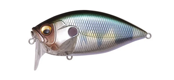 ORC Burning Shad - Image 12