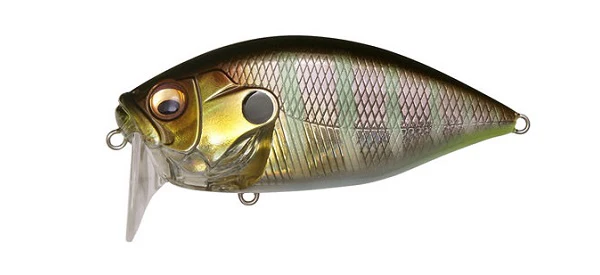 ORC Burning Shad - Image 4