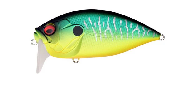 ORC Burning Shad - Image 9