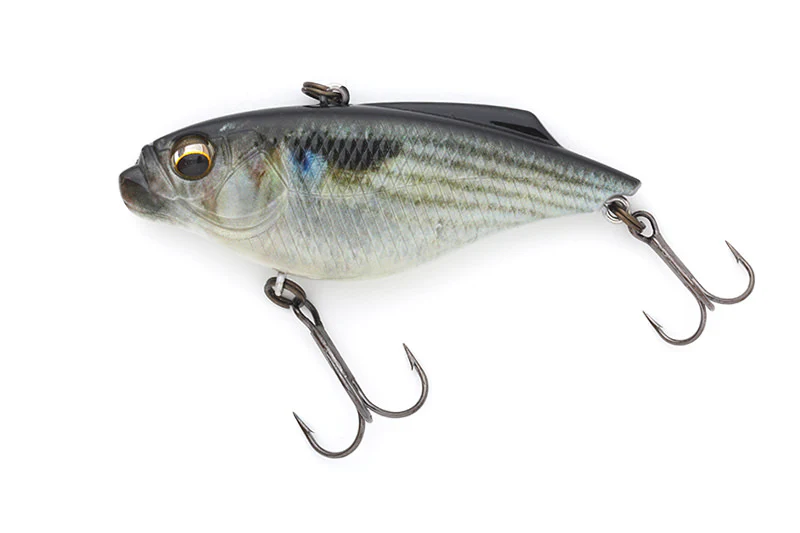 Piranha - Image 4
