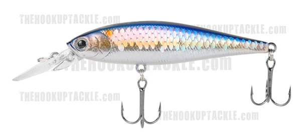 Pointer 100DD - Image 14