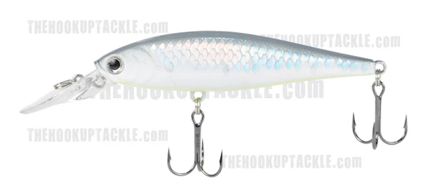 Pointer 100DD - Image 16
