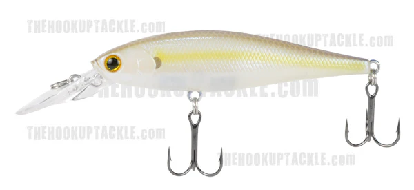 Pointer 100DD - Image 7