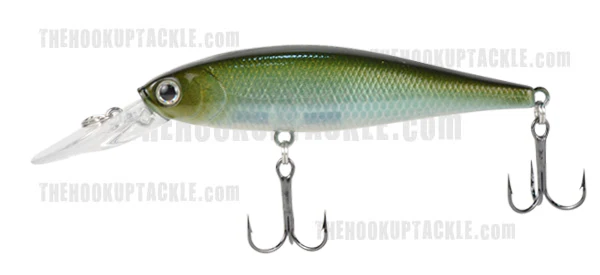 Pointer 100DD - Image 8