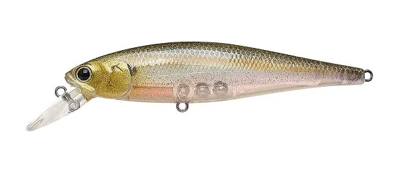 Pointer 100DD - Image 9