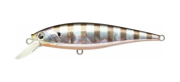 Pointer 100SP - Image 11