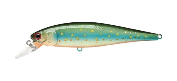 Pointer 100SP - Image 13