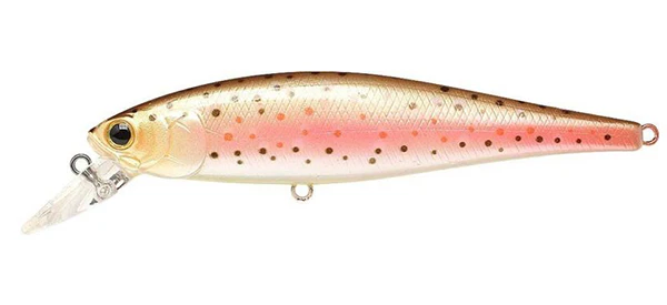 Pointer 100SP - Image 14