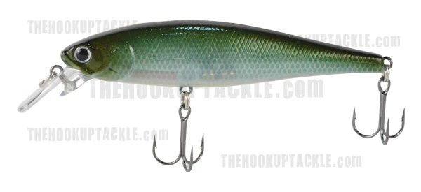 Pointer 100SP - Image 17