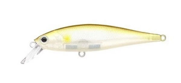 Pointer 100SP - Image 27