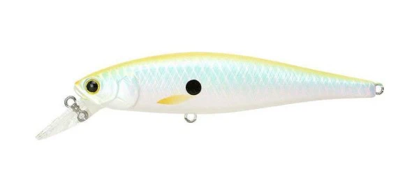 Pointer 100SP - Image 38