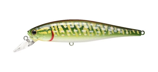 Pointer 100SP - Image 72
