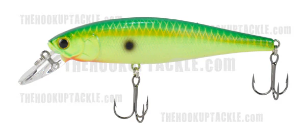 Pointer 100SP - Image 76