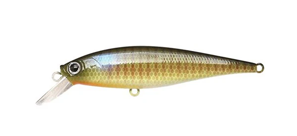 Pointer 100SP - Image 8