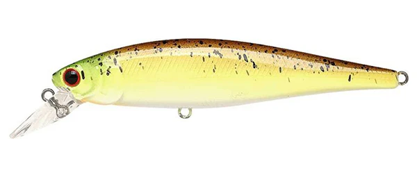 Pointer 100SP - Image 84