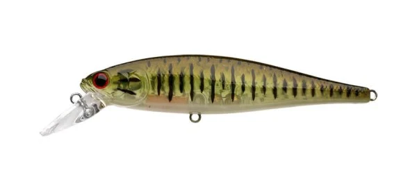 Pointer 100SP - Image 87
