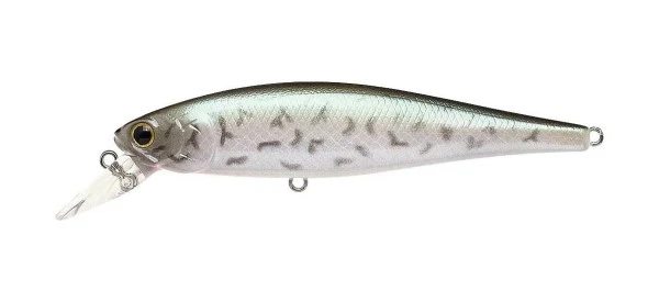 Pointer 100SP - Image 9