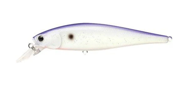 Pointer 100SP - Image 91