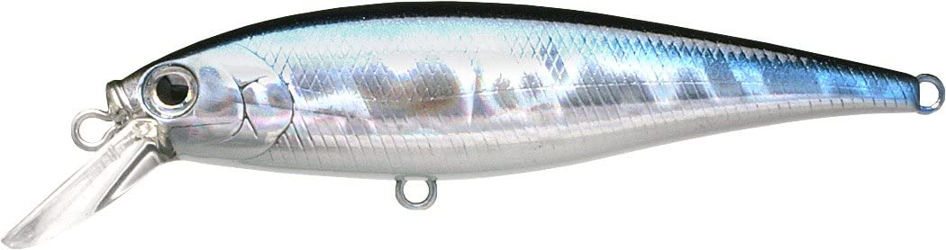 Pointer 100SP - Image 94