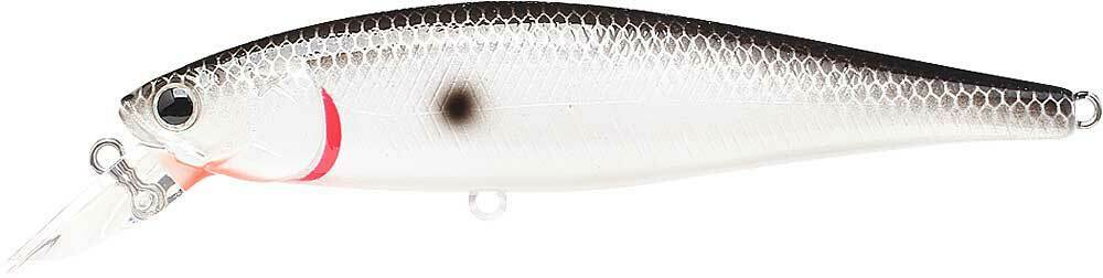 Pointer 100SP - Image 95