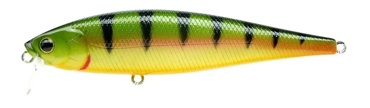 Pointer 100SSR - Image 5