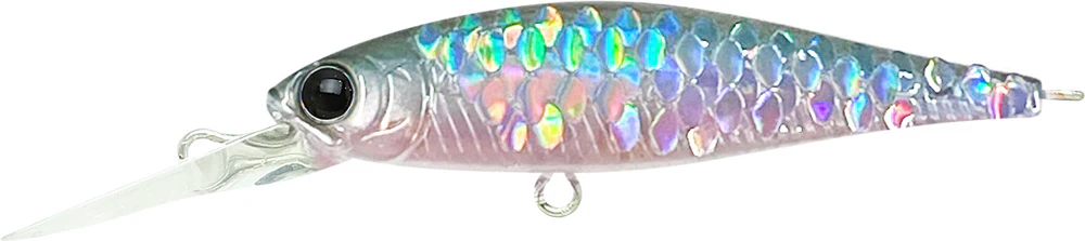 Pointer 48DD - Image 10