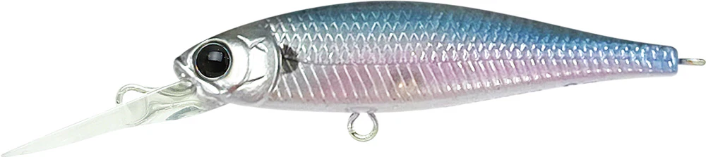 Pointer 48DD - Image 13