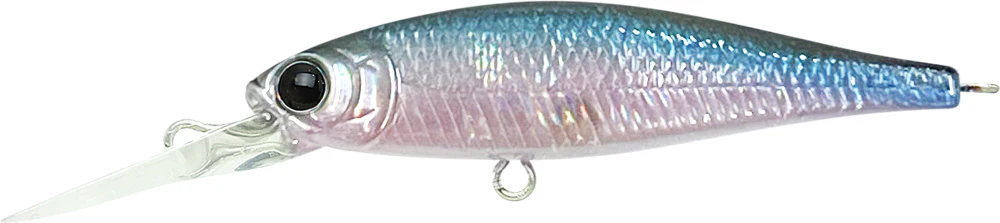 Pointer 48DD - Image 14