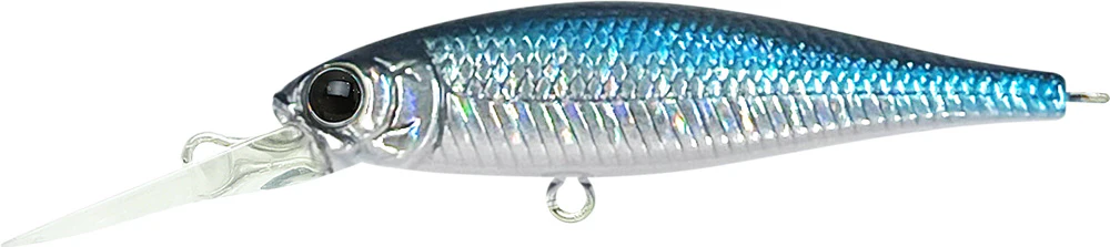 Pointer 48DD - Image 15
