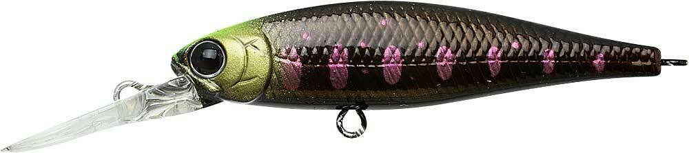 Pointer 48DD - Image 3