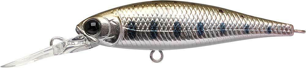 Pointer 48DD - Image 4