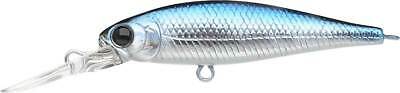 Pointer 48DD - Image 5
