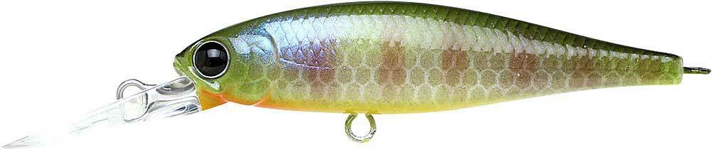 Pointer 48DD - Image 8