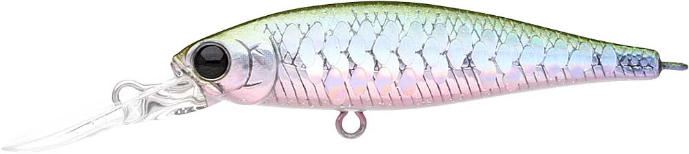 Pointer 48DD - Image 9