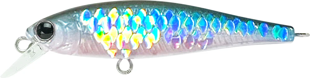 Pointer 48SP - Image 10
