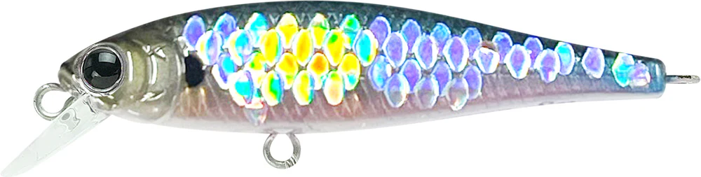 Pointer 48SP - Image 11