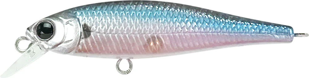 Pointer 48SP - Image 13