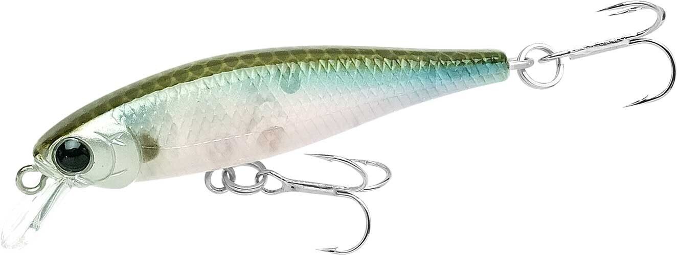 Pointer 48SP - Image 19