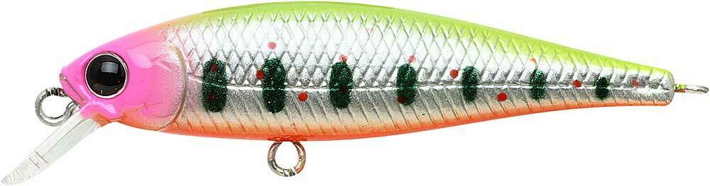 Pointer 48SP - Image 3