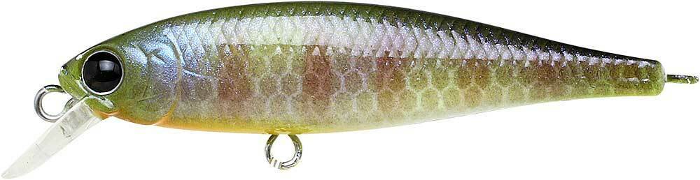 Pointer 48SP - Image 8