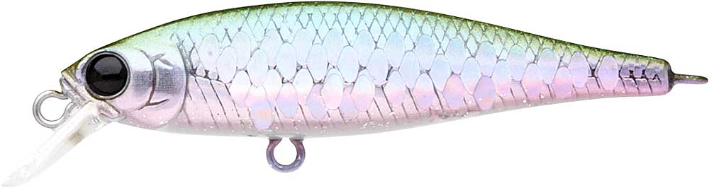 Pointer 48SP - Image 9