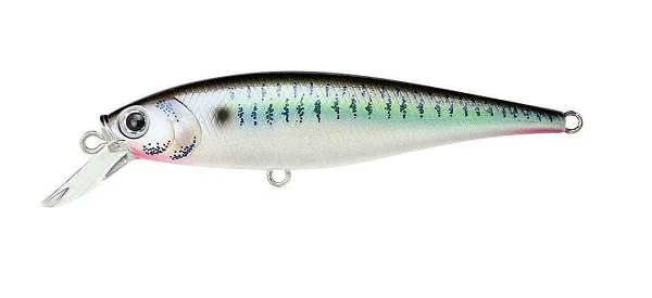 Pointer 65SP - Image 22