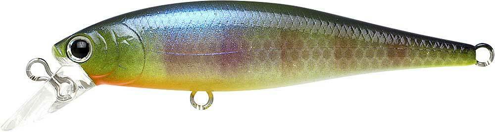 Pointer 65SP - Image 28