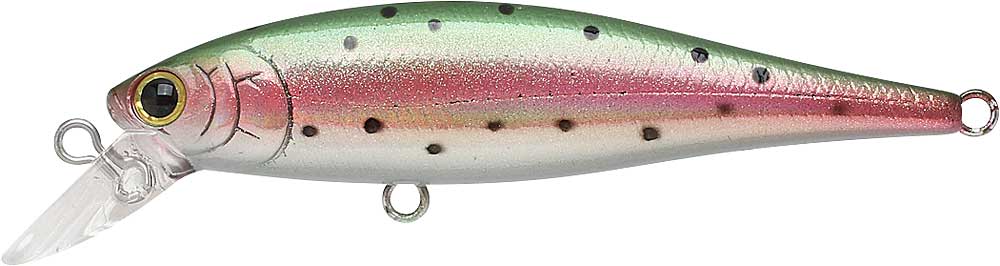 Pointer 65SP - Image 29